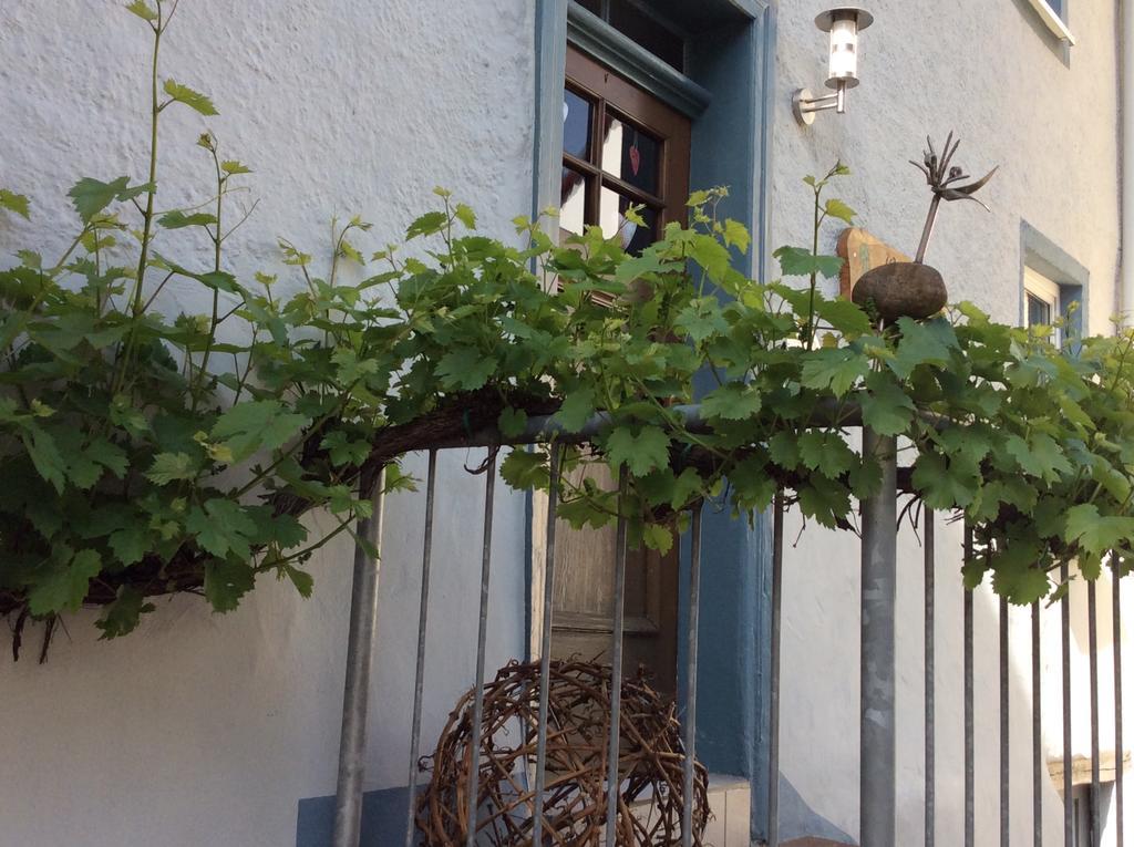 Appartamento Winzerhaeuschen, Weingut Th. Mueller Reil Esterno foto